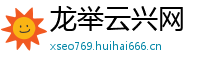 龙举云兴网